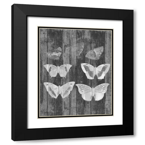 Rustic Butterfly Chart III Black Modern Wood Framed Art Print with Double Matting by Goldberger, Jennifer
