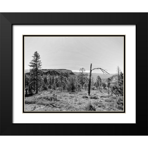 Canyon Lands V Black Modern Wood Framed Art Print with Double Matting by Guthrie, Jenna