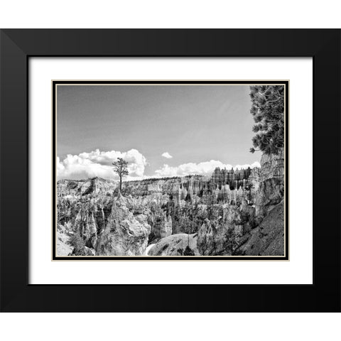 Canyon Lands VI Black Modern Wood Framed Art Print with Double Matting by Guthrie, Jenna