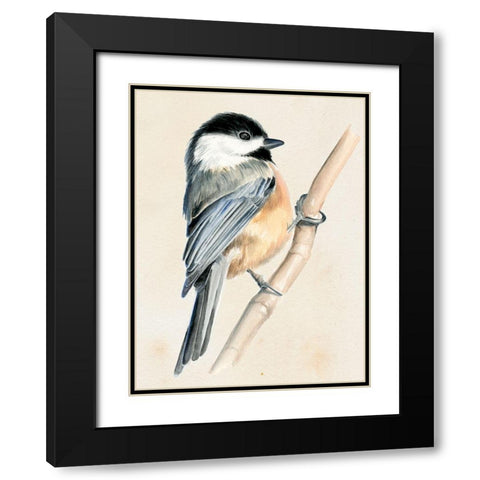 Little Bird on Branch II Black Modern Wood Framed Art Print with Double Matting by Parker, Jennifer Paxton