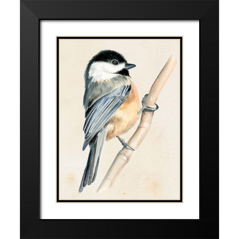 Little Bird on Branch II Black Modern Wood Framed Art Print with Double Matting by Parker, Jennifer Paxton