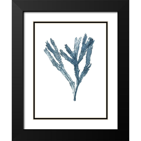 Seaweed Specimens on White I Black Modern Wood Framed Art Print with Double Matting by McCavitt, Naomi
