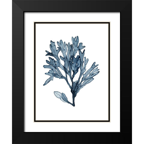 Seaweed Specimens on White II Black Modern Wood Framed Art Print with Double Matting by McCavitt, Naomi