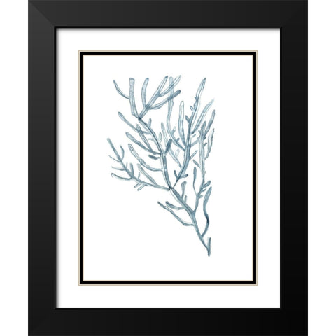 Seaweed Specimens on White III Black Modern Wood Framed Art Print with Double Matting by McCavitt, Naomi