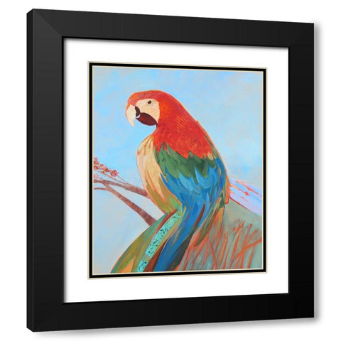 Parrot Wonder II Black Modern Wood Framed Art Print with Double Matting by Forgard, Larry