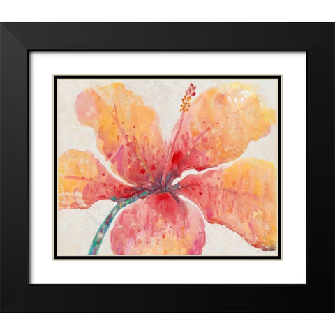 Blooming Hibiscus Black Modern Wood Framed Art Print with Double Matting by OToole, Tim