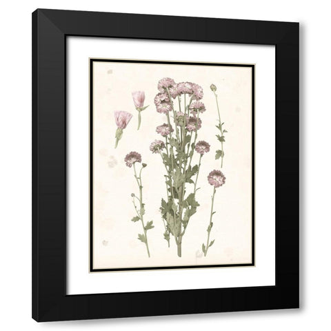 Pressed Blooms I Black Modern Wood Framed Art Print with Double Matting by Popp, Grace