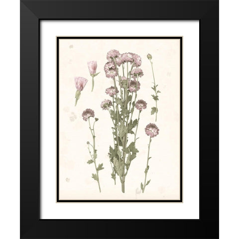 Pressed Blooms I Black Modern Wood Framed Art Print with Double Matting by Popp, Grace