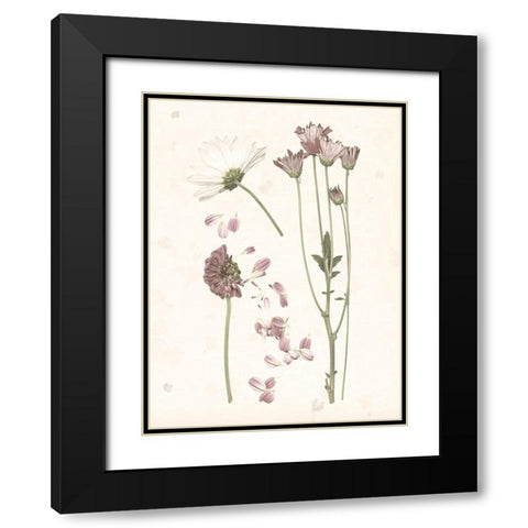 Pressed Blooms II Black Modern Wood Framed Art Print with Double Matting by Popp, Grace