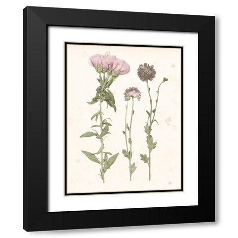 Pressed Blooms III Black Modern Wood Framed Art Print with Double Matting by Popp, Grace