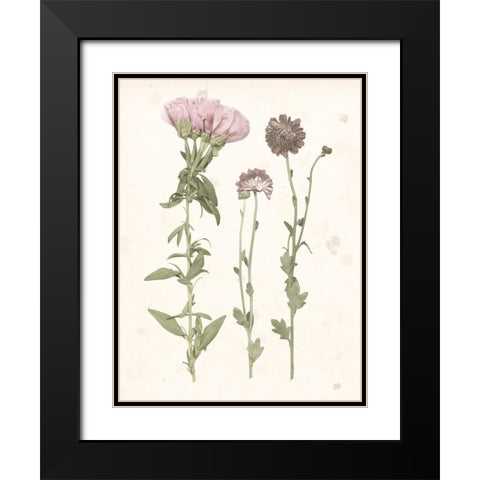 Pressed Blooms III Black Modern Wood Framed Art Print with Double Matting by Popp, Grace