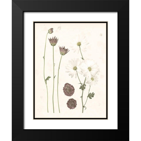 Pressed Blooms IV Black Modern Wood Framed Art Print with Double Matting by Popp, Grace