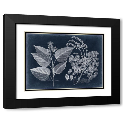 Foliage on Navy III Black Modern Wood Framed Art Print with Double Matting by Vision Studio