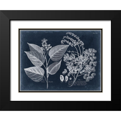 Foliage on Navy III Black Modern Wood Framed Art Print with Double Matting by Vision Studio