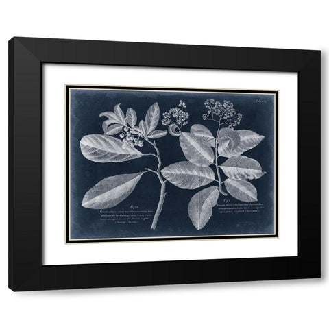 Foliage on Navy IV Black Modern Wood Framed Art Print with Double Matting by Vision Studio