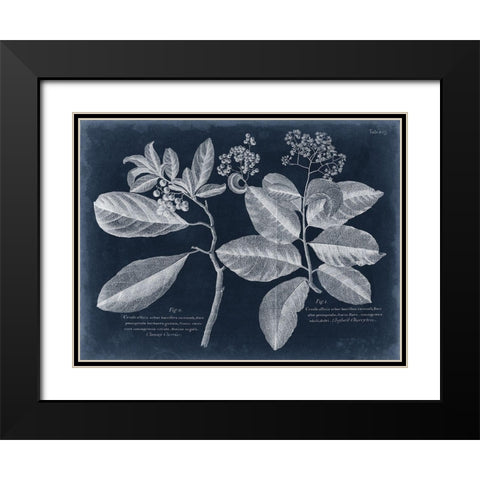 Foliage on Navy IV Black Modern Wood Framed Art Print with Double Matting by Vision Studio