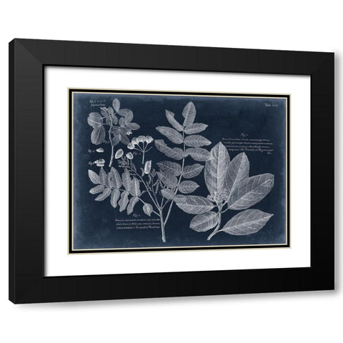 Foliage on Navy V Black Modern Wood Framed Art Print with Double Matting by Vision Studio