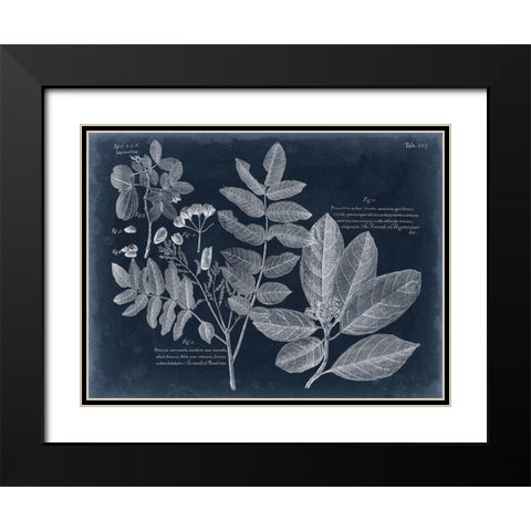 Foliage on Navy V Black Modern Wood Framed Art Print with Double Matting by Vision Studio