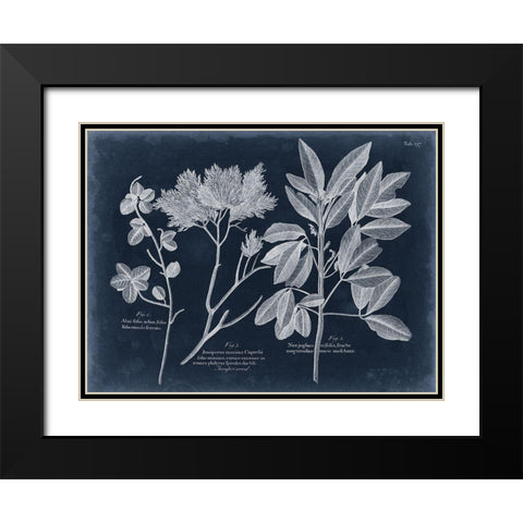 Foliage on Navy VI Black Modern Wood Framed Art Print with Double Matting by Vision Studio