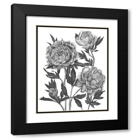 Flowers in Grey V Black Modern Wood Framed Art Print with Double Matting by Wang, Melissa