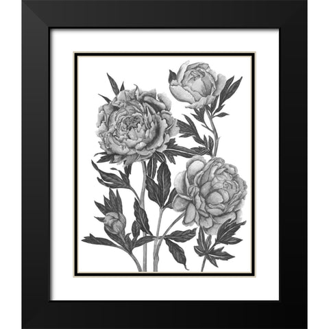 Flowers in Grey V Black Modern Wood Framed Art Print with Double Matting by Wang, Melissa