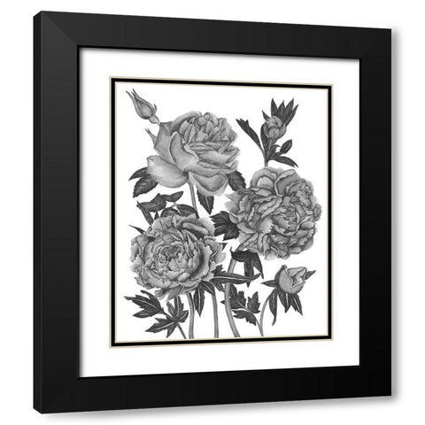 Flowers in Grey VI Black Modern Wood Framed Art Print with Double Matting by Wang, Melissa