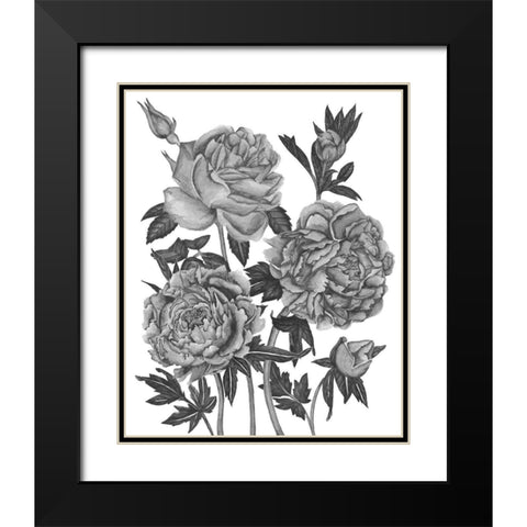 Flowers in Grey VI Black Modern Wood Framed Art Print with Double Matting by Wang, Melissa