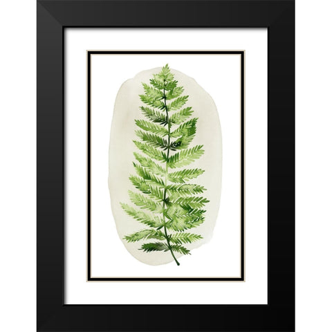 Spot Fern I Black Modern Wood Framed Art Print with Double Matting by Popp, Grace