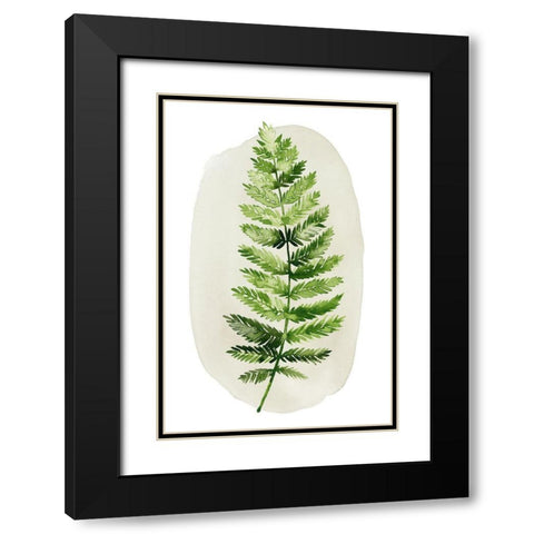 Spot Fern II Black Modern Wood Framed Art Print with Double Matting by Popp, Grace