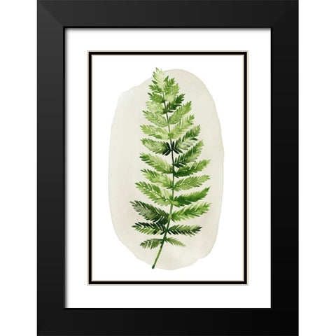 Spot Fern II Black Modern Wood Framed Art Print with Double Matting by Popp, Grace