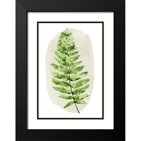 Spot Fern III Black Modern Wood Framed Art Print with Double Matting by Popp, Grace