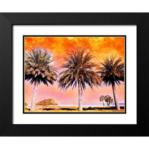 Hifi Palms II Black Modern Wood Framed Art Print with Double Matting by Nall, Skip