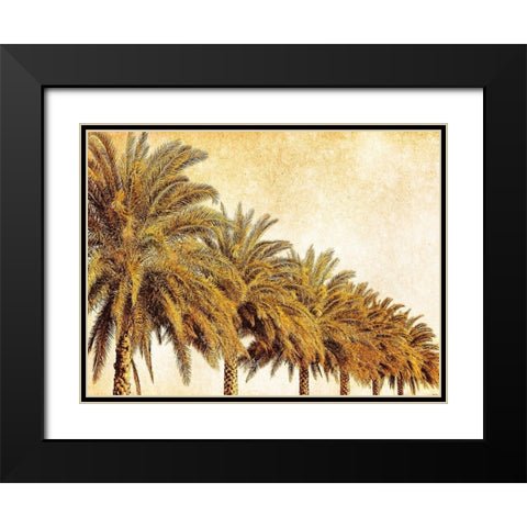 Palms on Brown I Black Modern Wood Framed Art Print with Double Matting by Nall, Skip