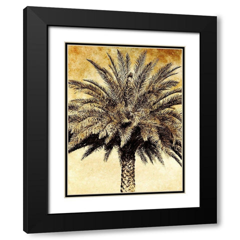 Palms on Brown V Black Modern Wood Framed Art Print with Double Matting by Nall, Skip