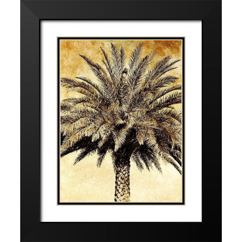 Palms on Brown V Black Modern Wood Framed Art Print with Double Matting by Nall, Skip