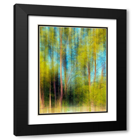 Tree Blur II Black Modern Wood Framed Art Print with Double Matting by Nall, Skip