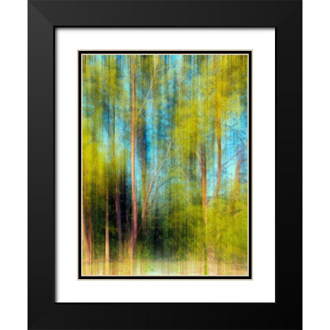 Tree Blur II Black Modern Wood Framed Art Print with Double Matting by Nall, Skip
