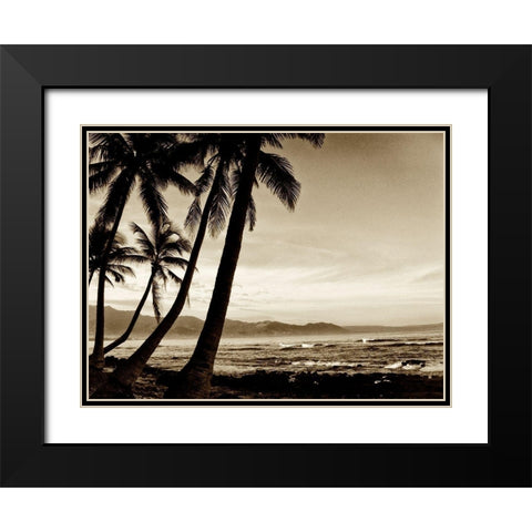 Island Palms III Black Modern Wood Framed Art Print with Double Matting by Nall, Skip