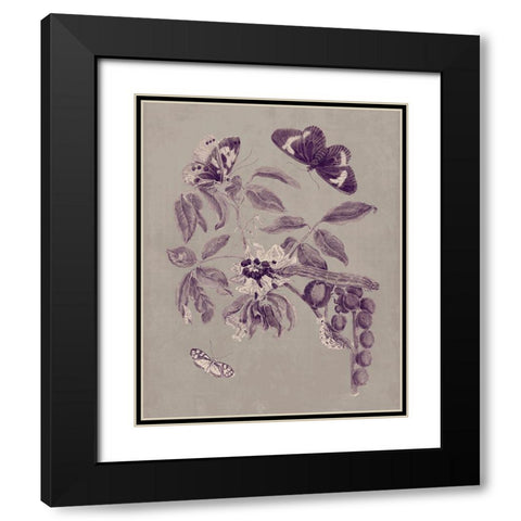 Nature Study in Plum and Taupe II Black Modern Wood Framed Art Print with Double Matting by Merian, Maria S.