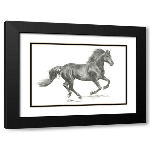 Wild Horse Portrait II Black Modern Wood Framed Art Print with Double Matting by Parker, Jennifer Paxton