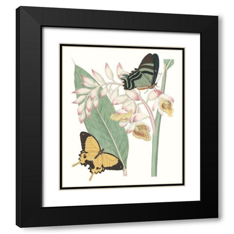Les Papillons I Black Modern Wood Framed Art Print with Double Matting by Vision Studio