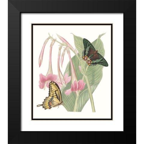 Les Papillons II Black Modern Wood Framed Art Print with Double Matting by Vision Studio