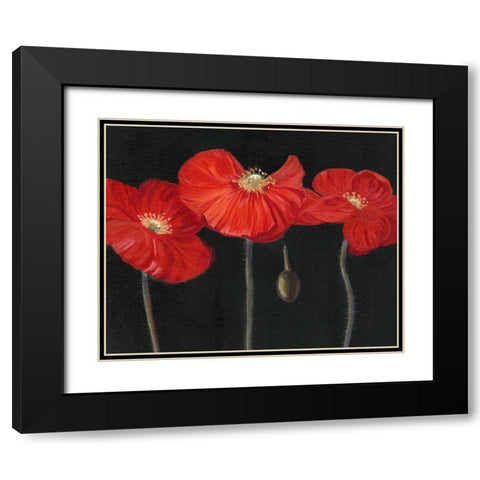 Poppy Trio I Black Modern Wood Framed Art Print with Double Matting by Iafrate, Sandra