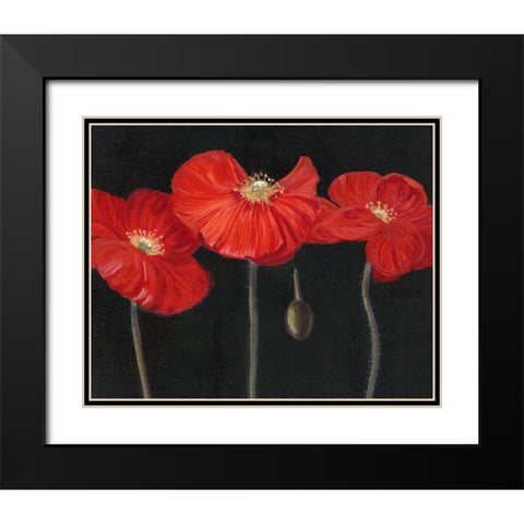 Poppy Trio I Black Modern Wood Framed Art Print with Double Matting by Iafrate, Sandra