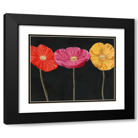 Poppy Trio II Black Modern Wood Framed Art Print with Double Matting by Iafrate, Sandra