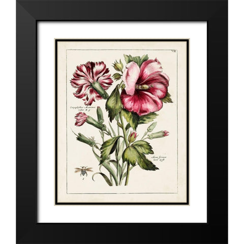 Pink Hibiscus Black Modern Wood Framed Art Print with Double Matting by Unknown