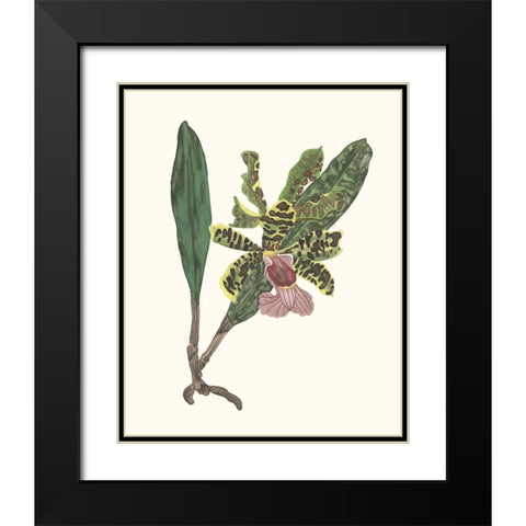 Orchid Display II Black Modern Wood Framed Art Print with Double Matting by Wang, Melissa