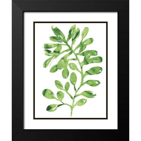 Emerald Tropics II Black Modern Wood Framed Art Print with Double Matting by Vess, June Erica