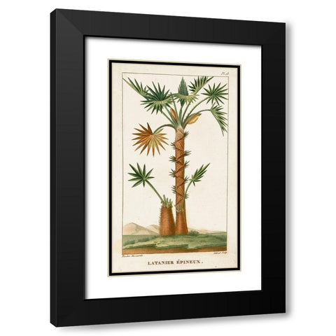 Turpin Exotic Palms I Black Modern Wood Framed Art Print with Double Matting by Turpin