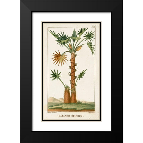 Turpin Exotic Palms I Black Modern Wood Framed Art Print with Double Matting by Turpin